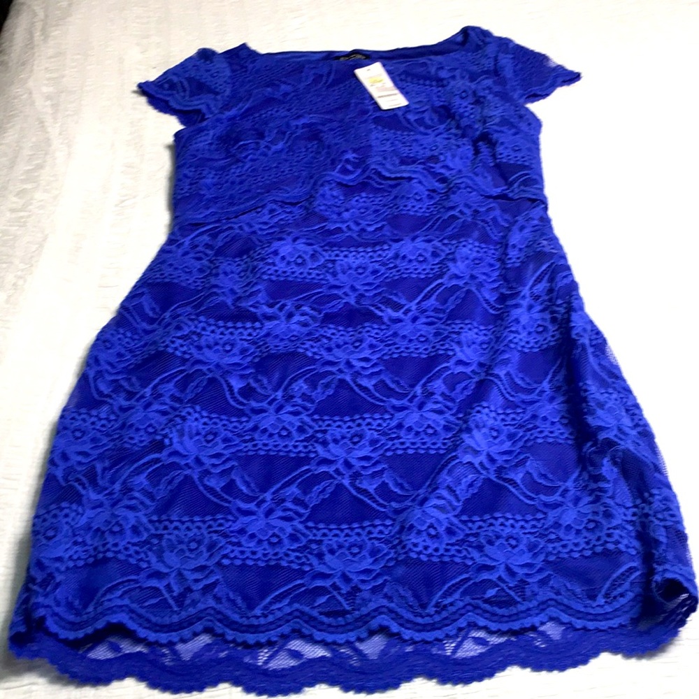 Bebe royal blue dress